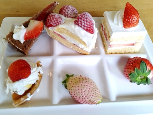 20230120-10.jpg