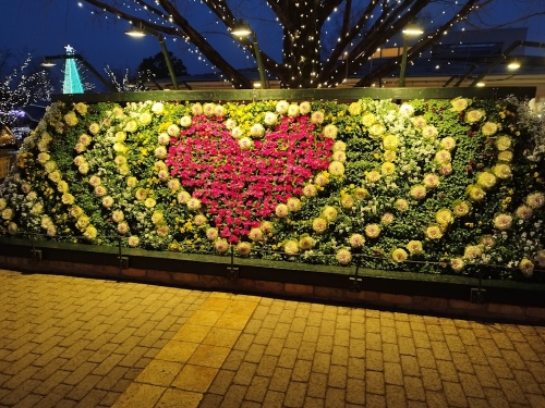 20230120-11.jpg