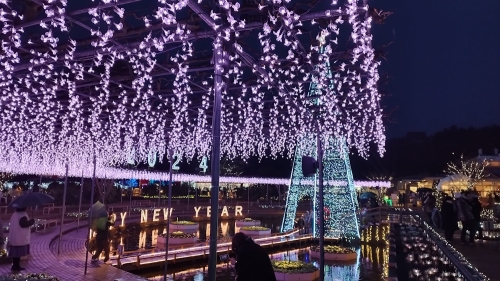 20230120-27.jpg
