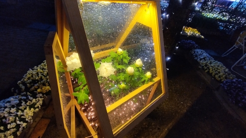 20230120-29.jpg